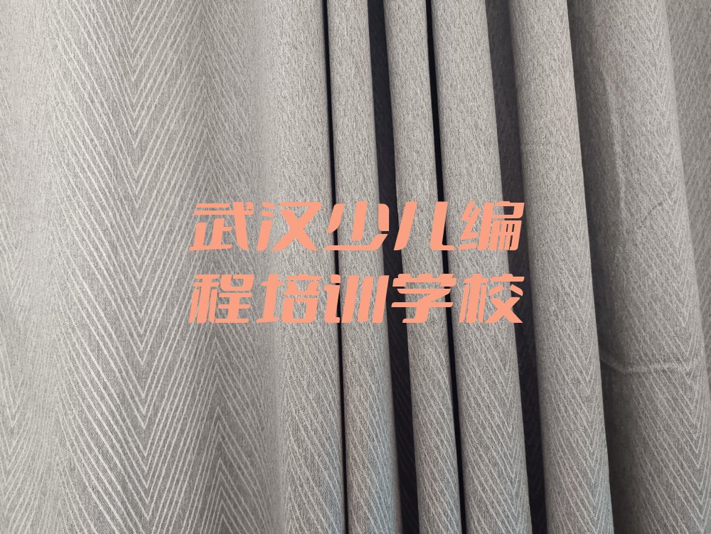 武汉少儿编程培训学校