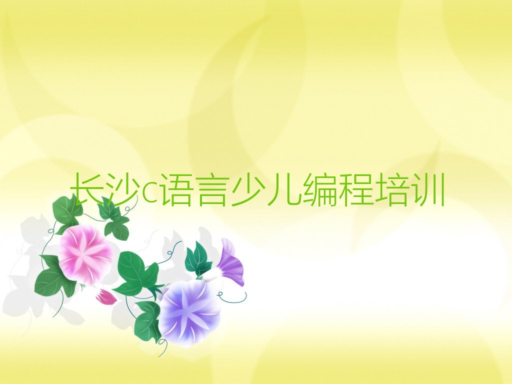 长沙少儿编程培训班