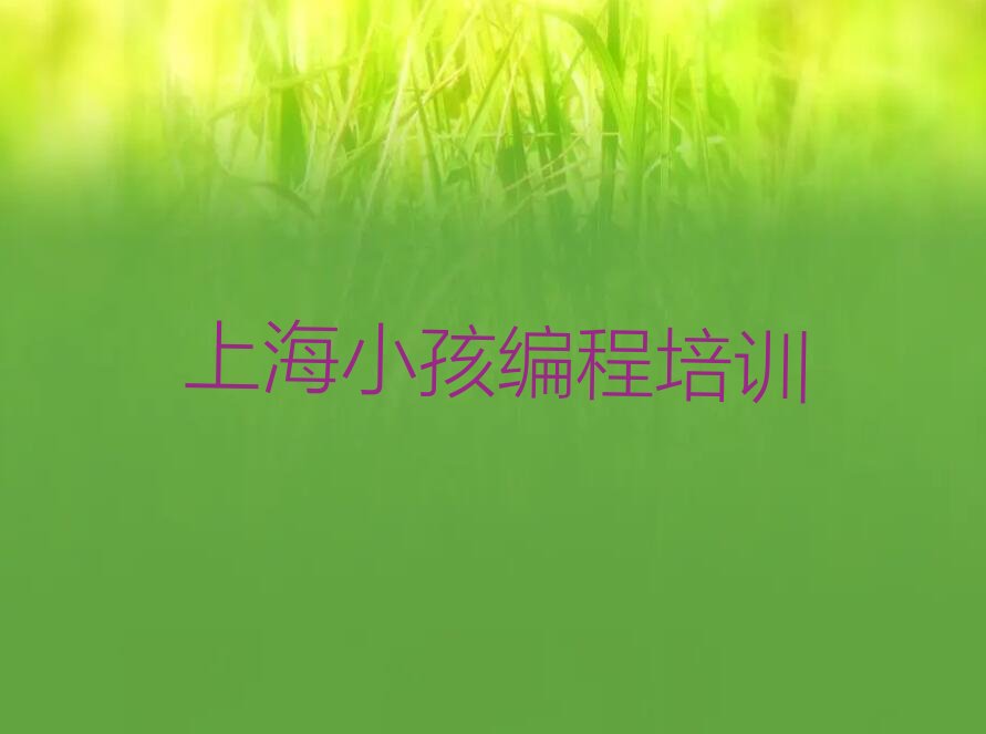 十大上海童程童美小孩编程资格培训班排行榜