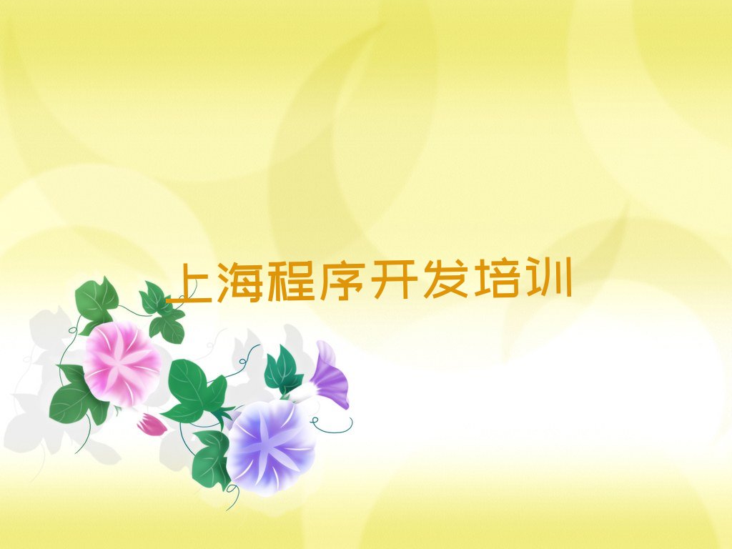 上海中学生Python编程培训学校
