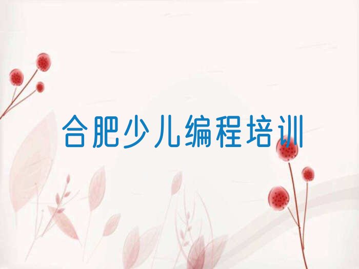 合肥瑶海区大兴镇少儿编程培训学校
