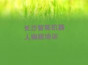 长沙望城区智能机器人编程培训学校-专业的智能机器人编程辅导机构榜单一览推荐排行榜