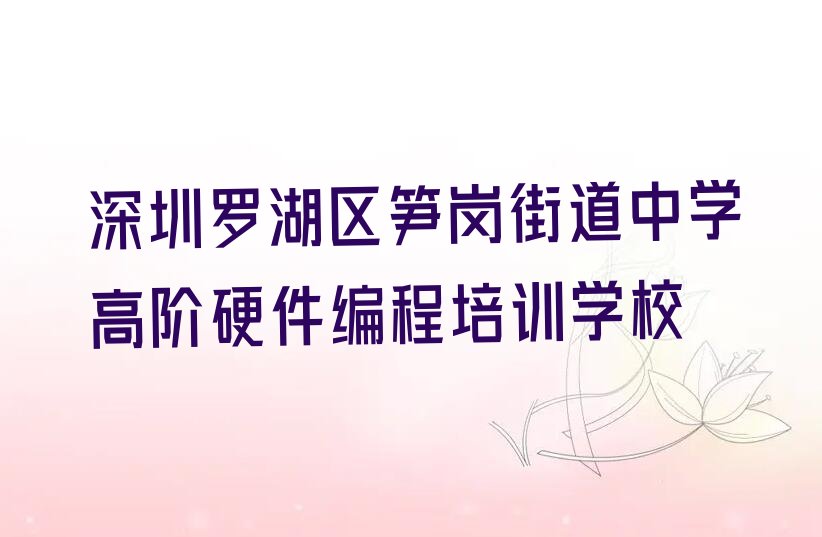 深圳罗湖区笋岗街道中学高阶硬件编程培训学校