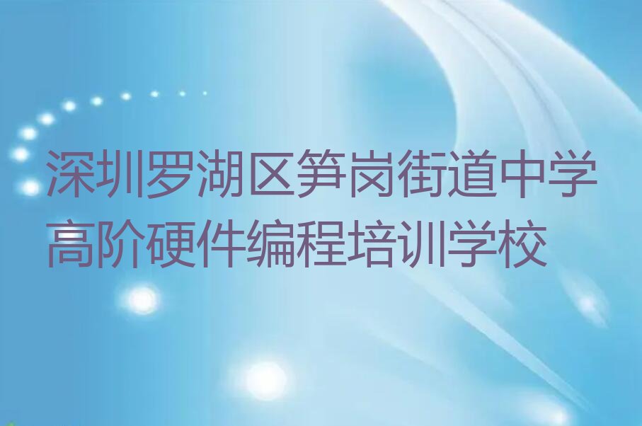 深圳罗湖区笋岗街道中学高阶硬件编程培训学校