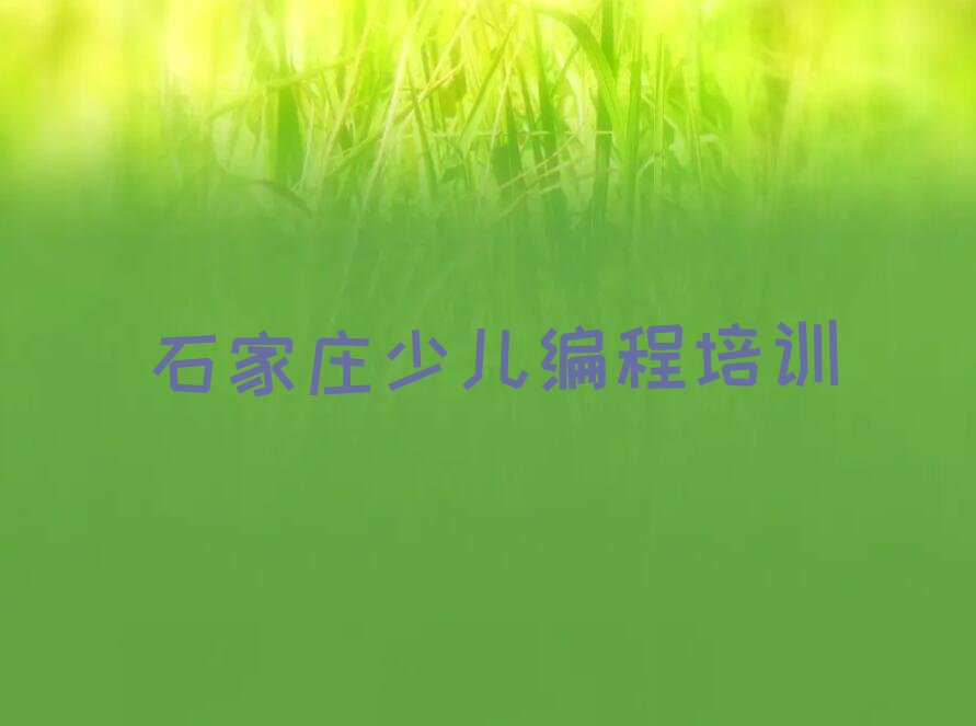 娃娃编程