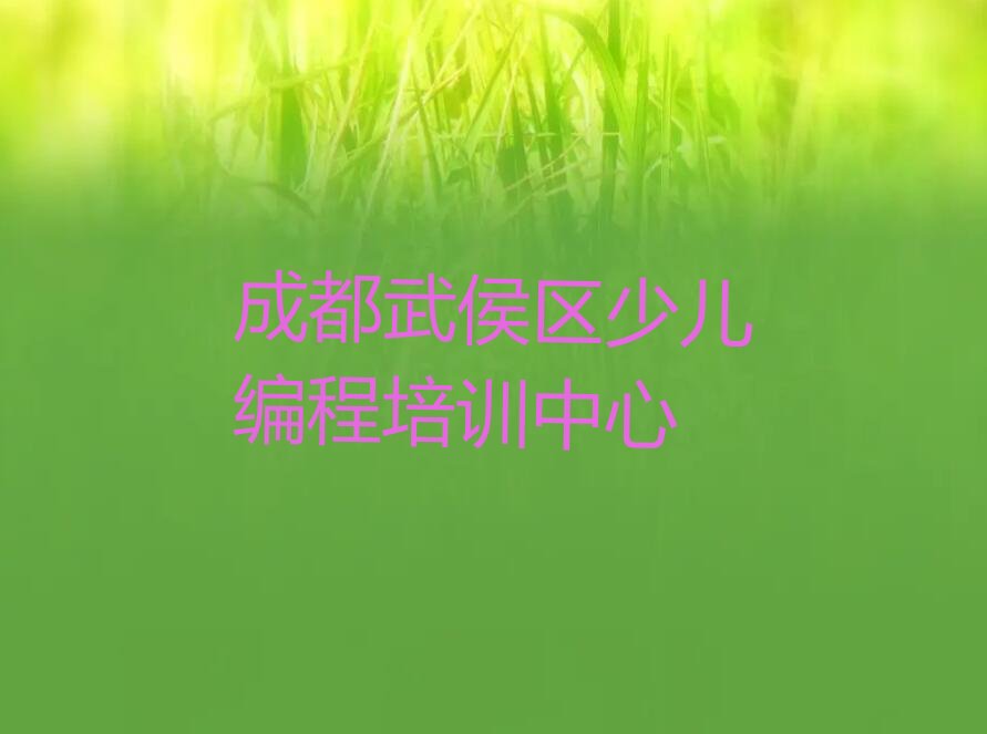 成都武侯区少儿编程培训中心