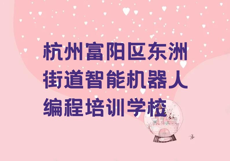 杭州富阳区东洲街道智能机器人编程培训学校