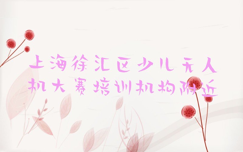 上海徐汇区少儿无人机大赛培训学校