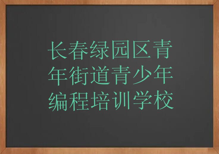 长春绿园区青年街道青少年编程培训学校