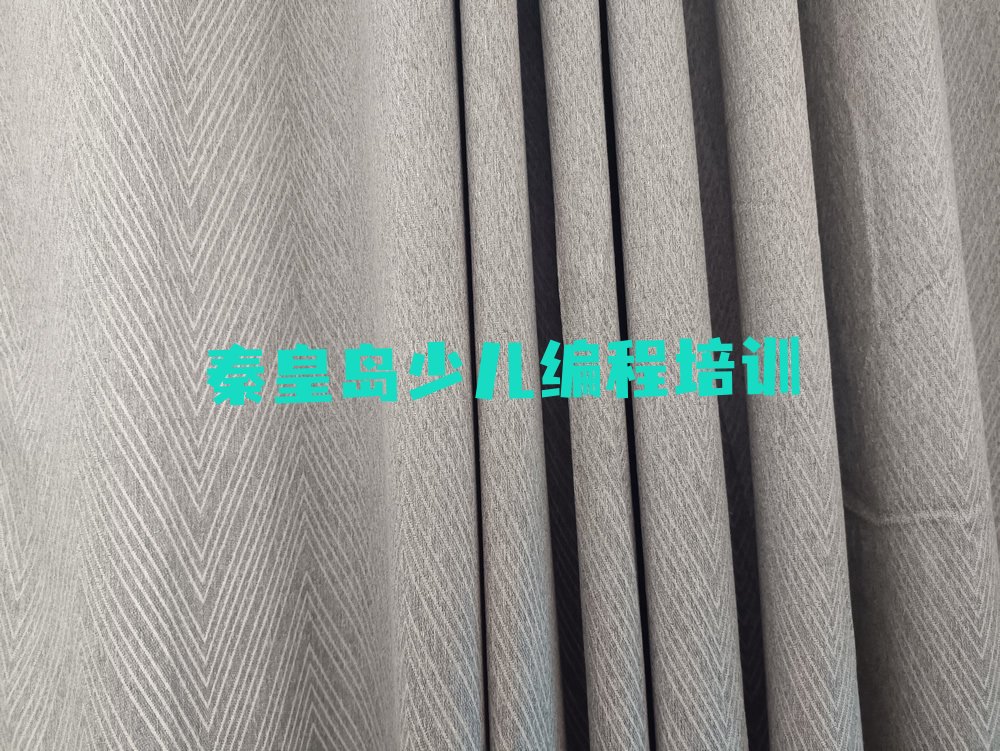 秦皇岛山海关区少儿编程培训
