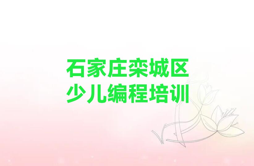 石家庄栾城区少儿编程培训