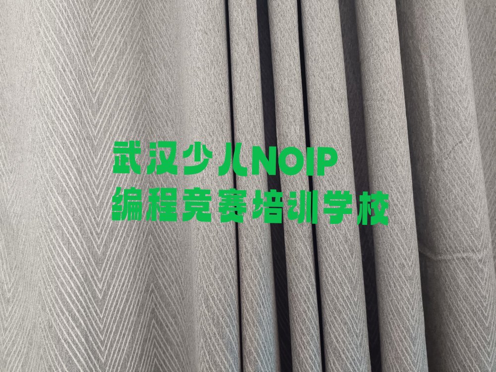 武汉少儿NOIP编程竞赛培训学校