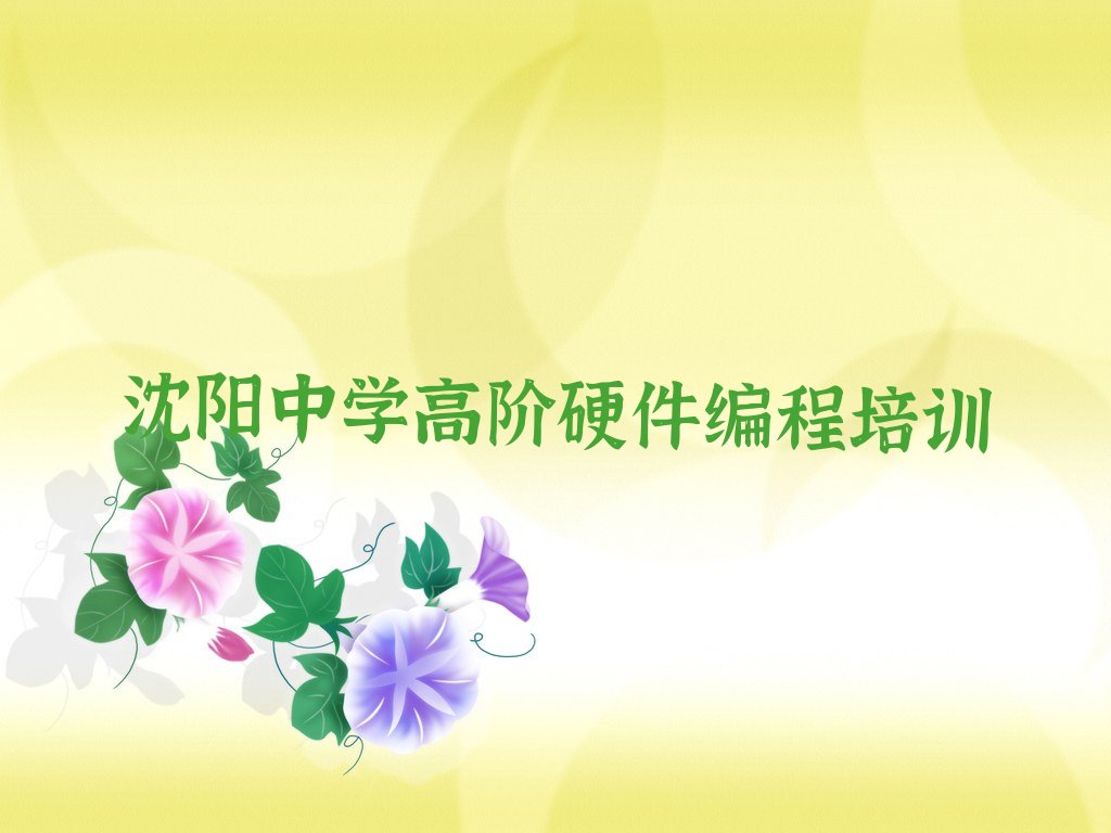 沈阳大东区新东街道中学高阶硬件编程培训学校