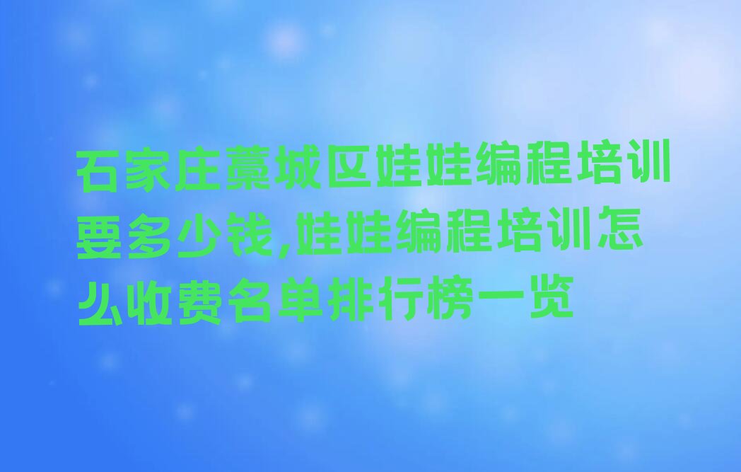 石家庄藁城区西关镇娃娃编程培训学校