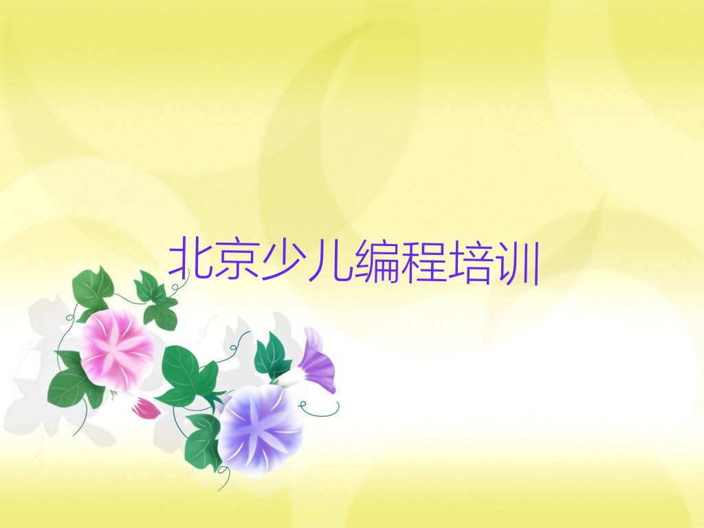 北京海淀区少儿编程培训学校