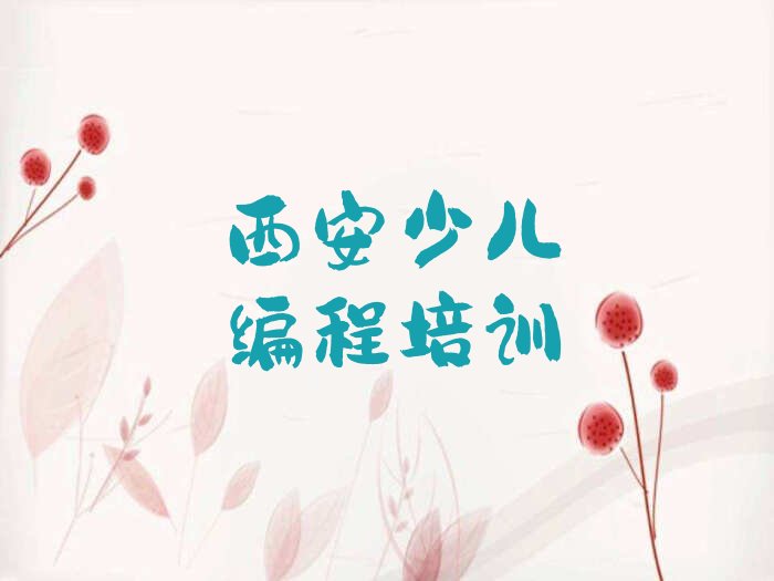 西安未央区少儿编程培训班