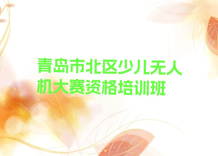 十大青岛市北区少儿无人机大赛资格培训班排行榜