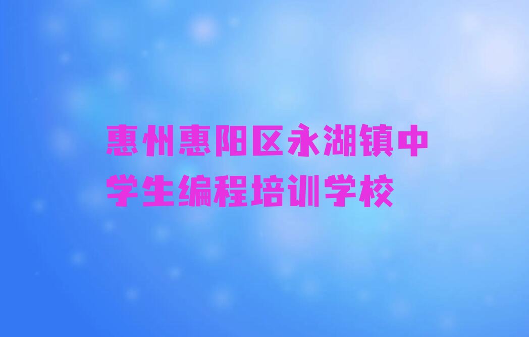 惠州惠阳区永湖镇中学生编程培训学校