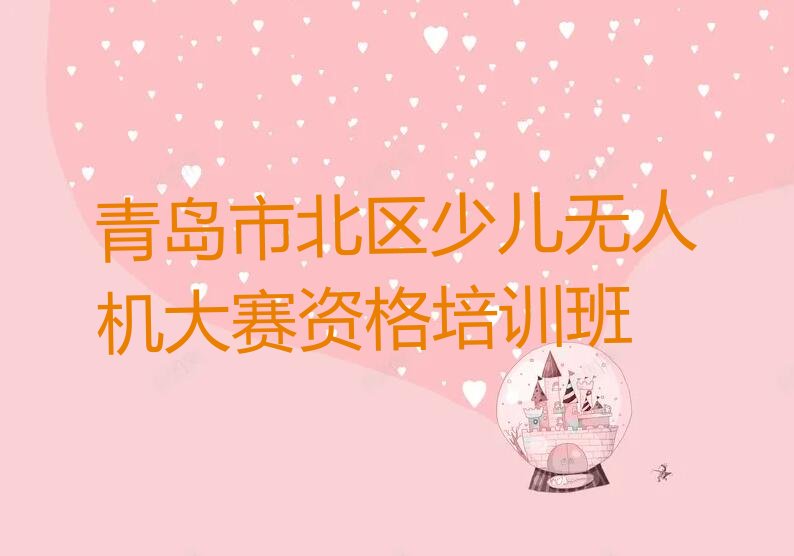 青岛市北区阜新路少儿无人机大赛培训学校