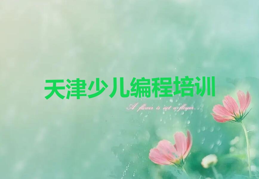 小学生编程