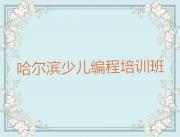 2025年哈尔滨双城区排名好的专业中学高阶硬件编程培训班实力推荐今日公布一览表