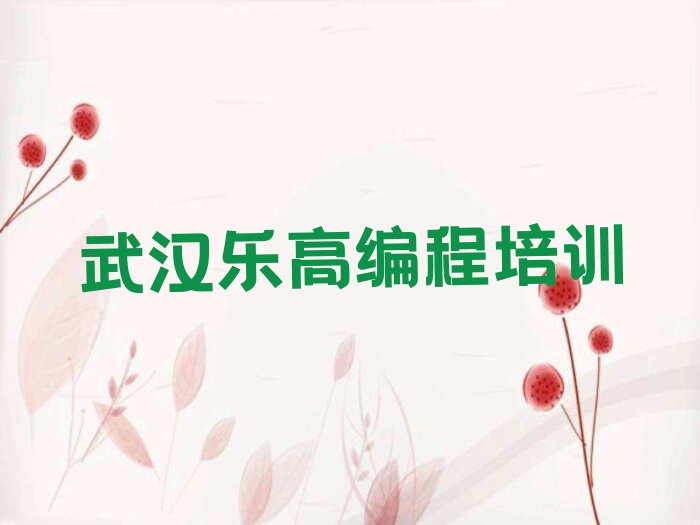 武汉武昌区乐高编程培训学校