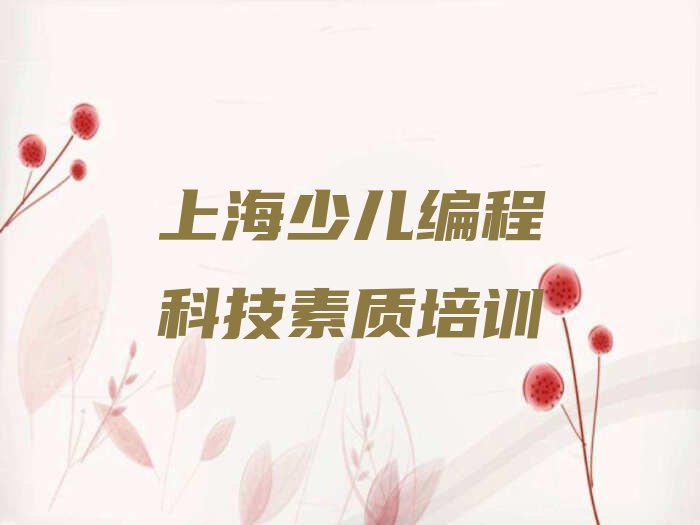 上海少儿编程培训学校