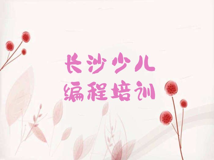 长沙少儿编程培训