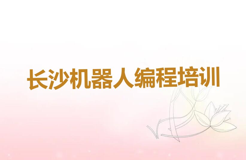 十大2025年长沙雨花区报机器人编程班名单精选一览排行榜排行榜