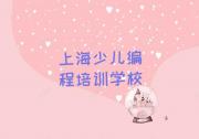 上海嘉定区少儿编程科技素质培训班哪个机构比较好,上海嘉定区少儿编程科技素质培训推荐排名名单一览表