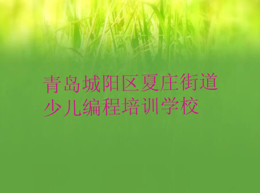 青岛城阳区夏庄街道少儿编程培训学校