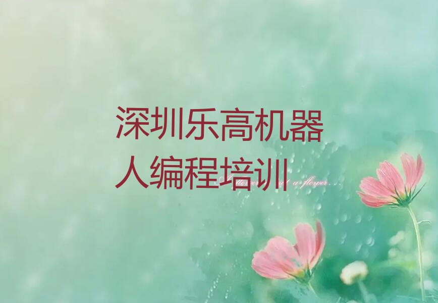 十大2025年深圳罗湖区乐高机器人编程班机构培训班学习推荐今日公布一览表排行榜