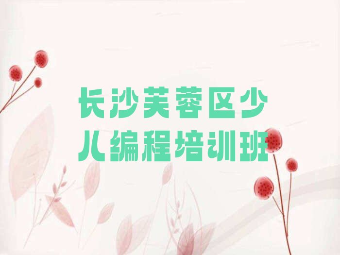 长沙芙蓉区少儿编程培训班