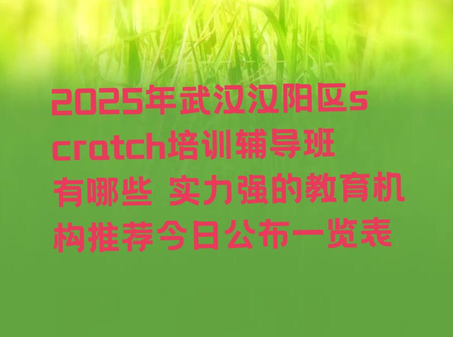 十大2025年武汉汉阳区scratch培训辅导班有哪些 实力强的教育机构推荐今日公布一览表排行榜