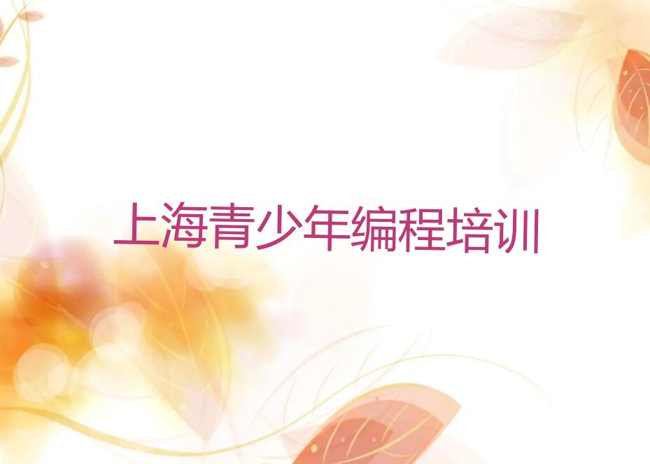 青少年编程