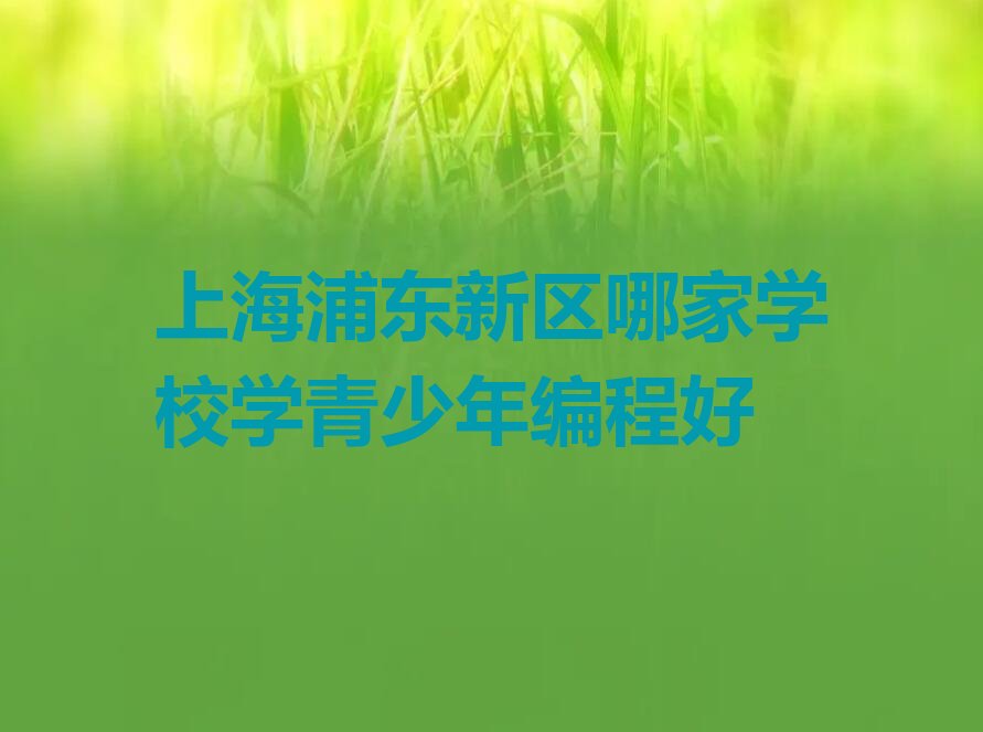 上海浦东新区金桥经济技术开发区青少年编程培训学校