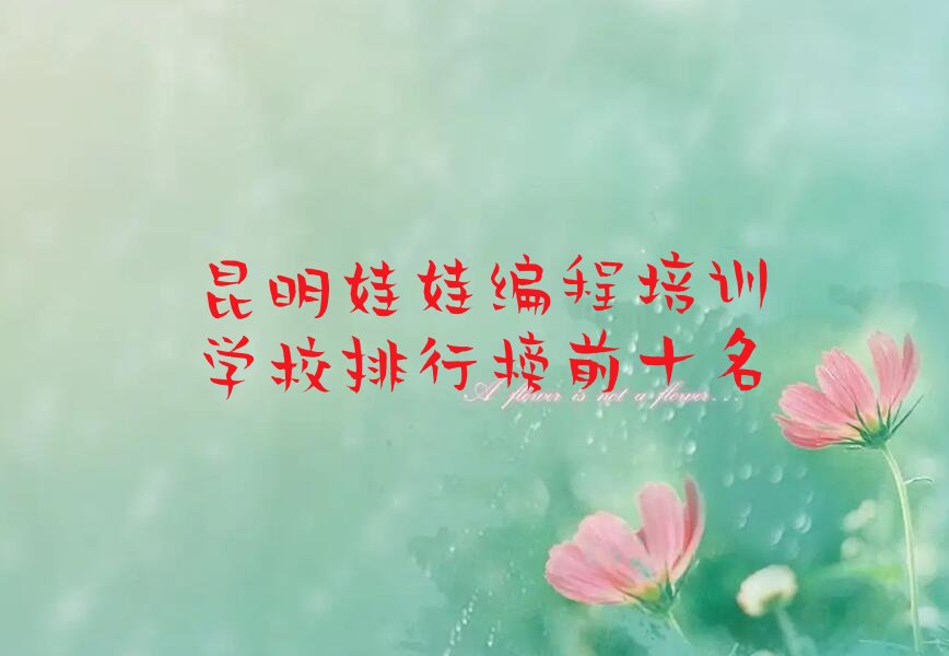 十大昆明娃娃编程培训学校排行榜前十名排行榜