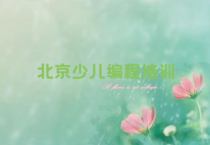 北京少儿编程培训班