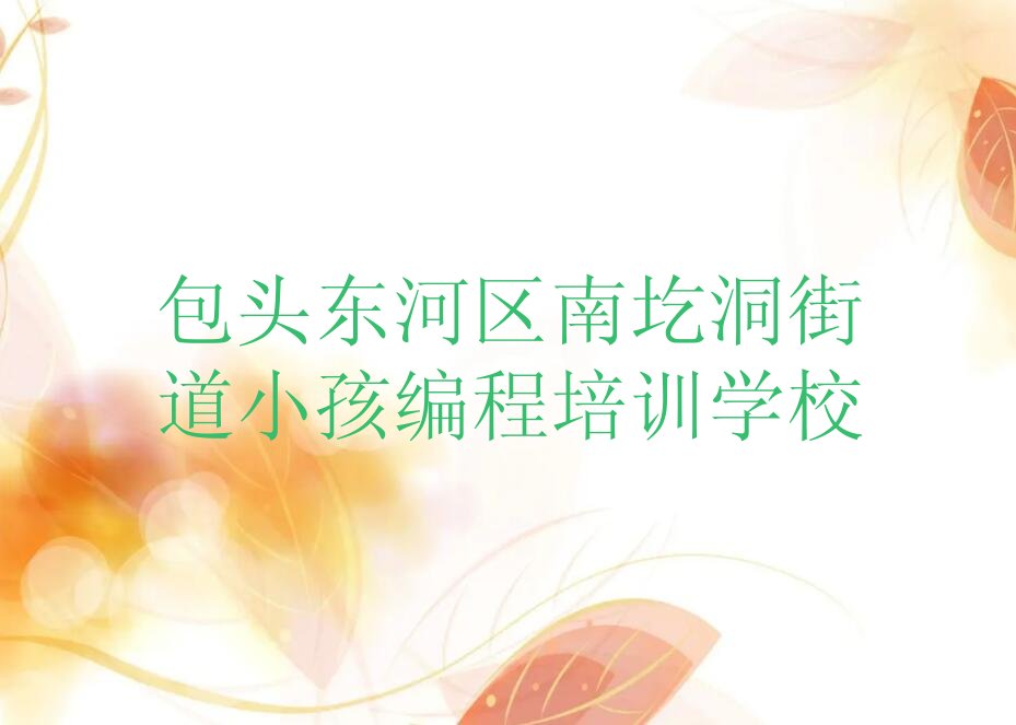 包头东河区南圪洞街道小孩编程培训学校