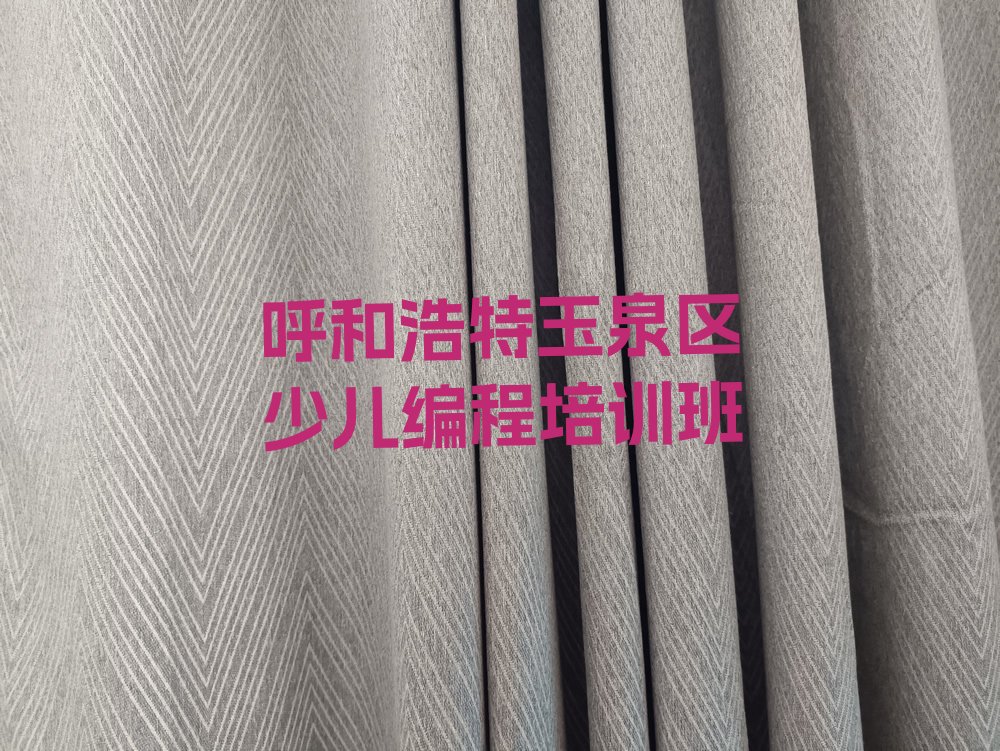 呼和浩特玉泉区少儿编程培训班