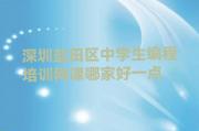 深圳盐田区中学生编程培训网课哪家好一点