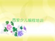 西安碑林区孩子编程培训哪个比较可靠好