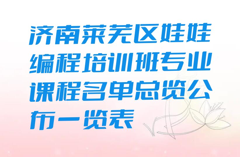 娃娃编程