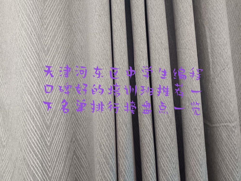 天津河东区少儿编程培训中心