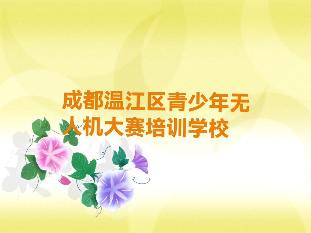 成都温江区青少年无人机大赛培训学校