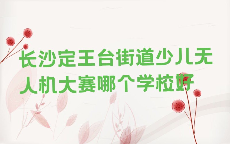 十大长沙定王台街道少儿无人机大赛哪个学校好排行榜