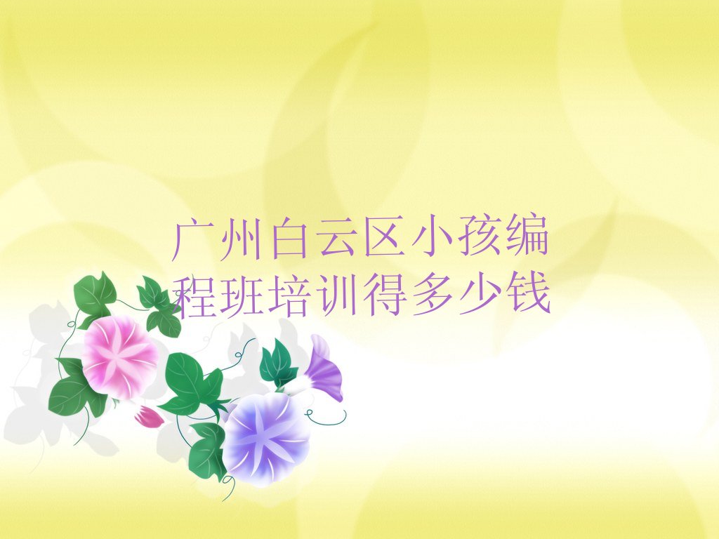 广州白云区金沙街道少儿编程培训学校