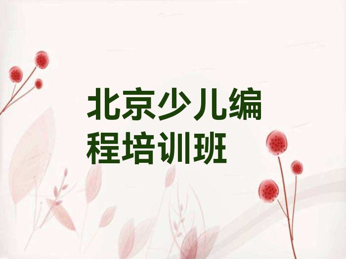 十大北京海淀区少儿编程c++前十名培训机构排行榜