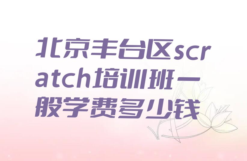 北京丰台区scratch培训学校