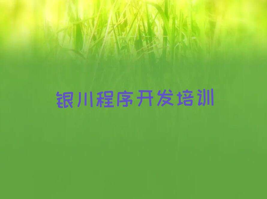 银川西夏区少儿编程培训班